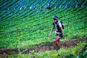 BIB: 
                            <button type="button" onclick="openModal(19160020)" class="btn btn-primary btn-sm float-right btn-popup" data-toggle="modal" data-target=".modal-high-quality">
                        <i class="fas fa-shopping-cart"></i> Add to Cart
                    </button>
                                            <button type="button" onclick="isThisMe(19160020, true)" class="btn btn-success btn-sm float-right btn-popup btn-isme hidden" data-toggle="tooltip" data-placement="bottom" title="นี่คือรูปของคุณใช่ไหม คลิกที่นี่เพื่อเอาเข้าอัลบั้ม">
                        <i class="fas fa-plus"></i> Add to album
                    </button>
                    <button type="button" onclick="isThisMe(19160020, false)" class="btn btn-warning btn-sm float-right btn-popup btn-isnotme hidden">
                        <i class="fas fa-ban"></i> Remove from album
                    </button>